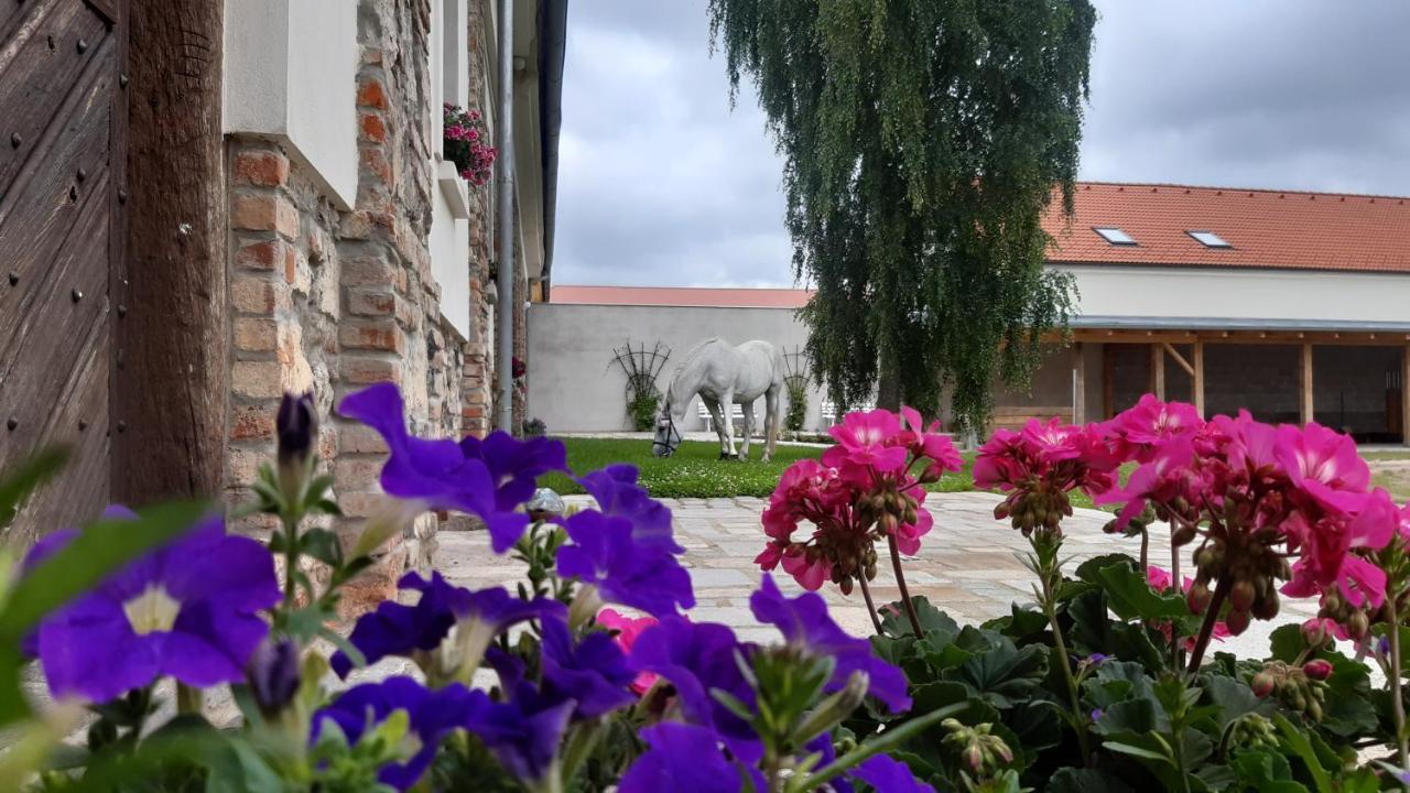 Korn-Hof Aparthotel Kornatice Kültér fotó